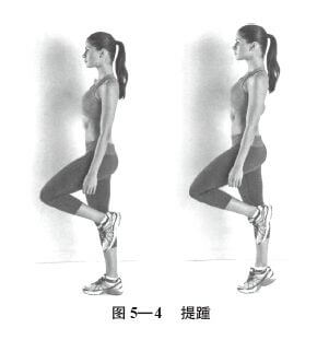 t5-4