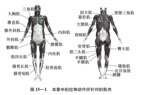 t15-1