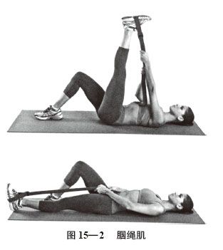 t15-2
