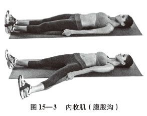 t15-3