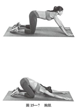 t15-7
