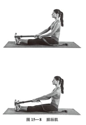 t15-8