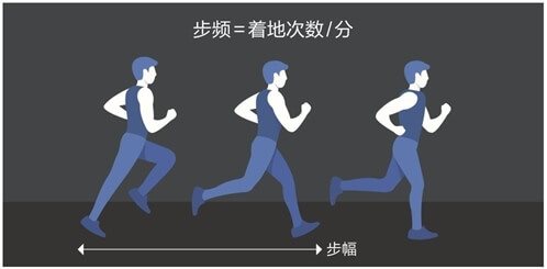 步频=着地次数/分步幅