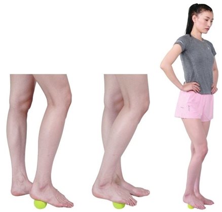 第三节 踝关节灵活性训练