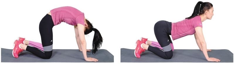 第四节 胸椎灵活性训练