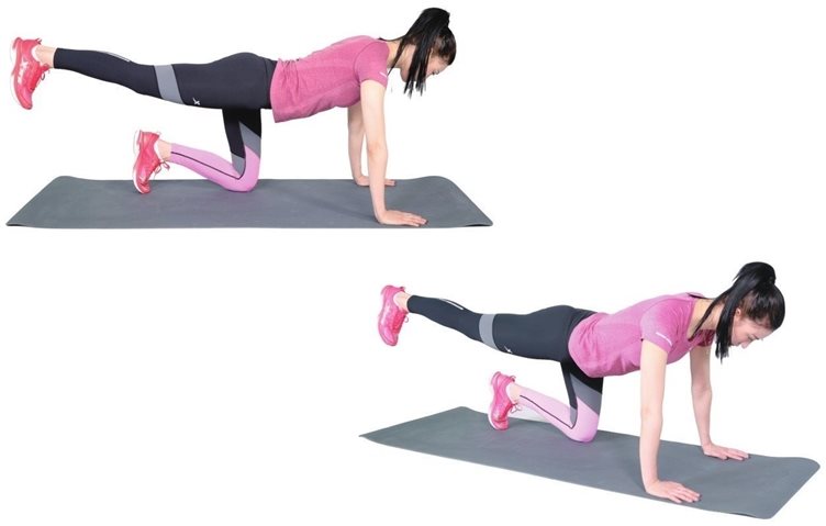 第六节 核心稳定性训练