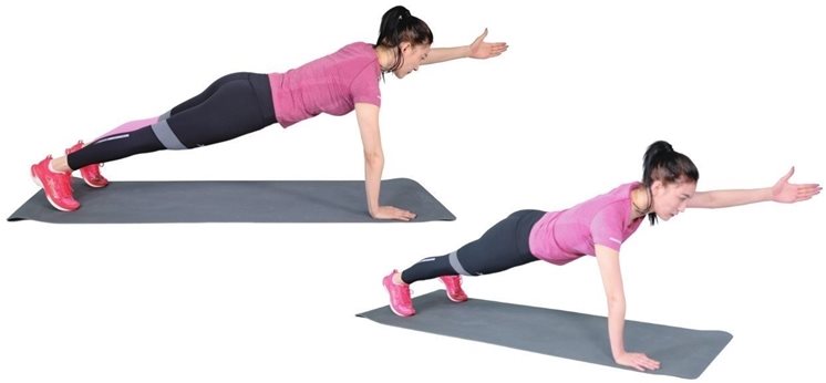 第六节 核心稳定性训练