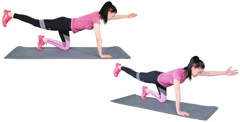 第六节 核心稳定性训练