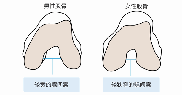 第二章 如何自己评估损伤风险?