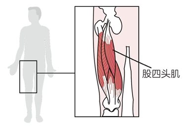 第二十三章 肌肉损伤后,你懂怎么高效康复吗?
