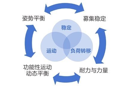 第十六章 核心力量训练：稳定重心避免跌倒