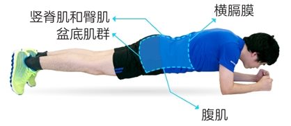 第十六章 核心力量训练：稳定重心避免跌倒