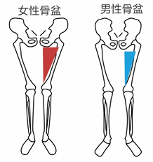 第二章 如何自己评估损伤风险?