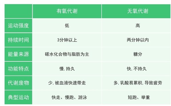 03 跑步是强健心肺最科学的运动