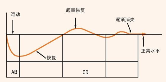 Chapter 08 超量恢复