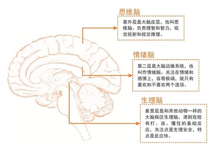 02 找到你的真实动力，跑起来