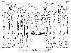 第九章 乘桶而逃