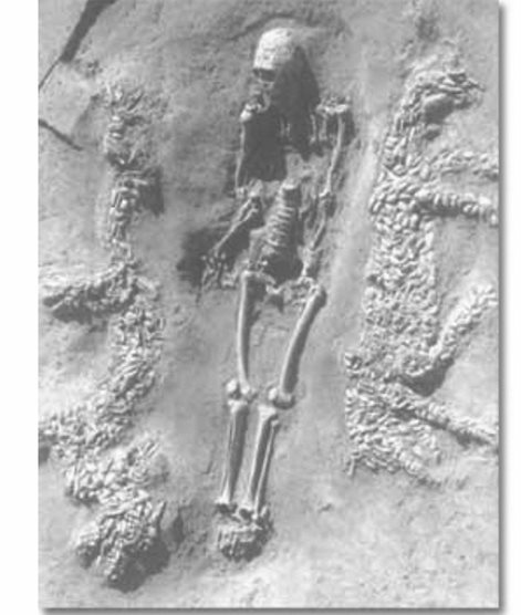 1987-1988年河南濮阳西水坡遗址发掘的距今6400年前的部落领袖墓葬