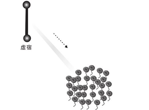 虚宿下传的精态的阴阳物质