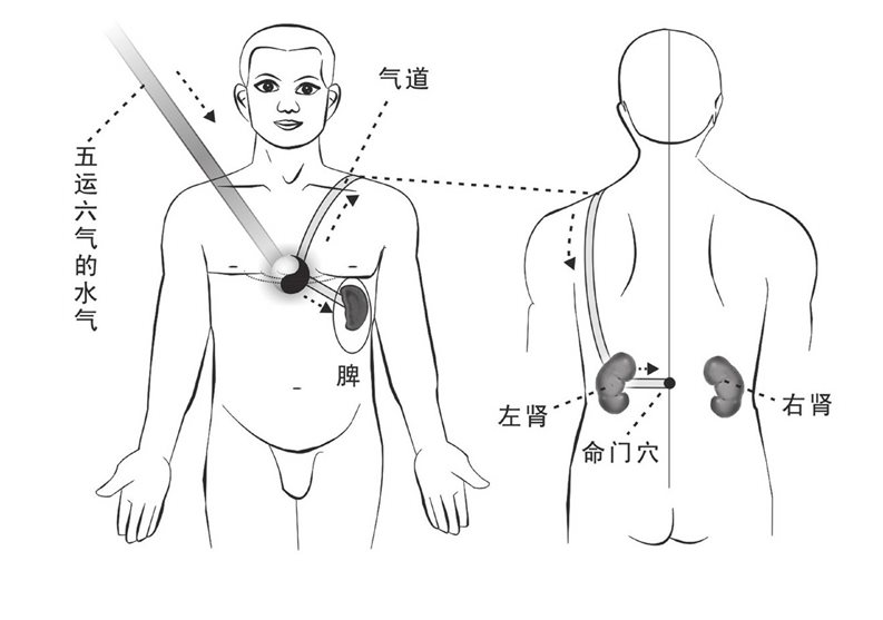 水气影响脾肾