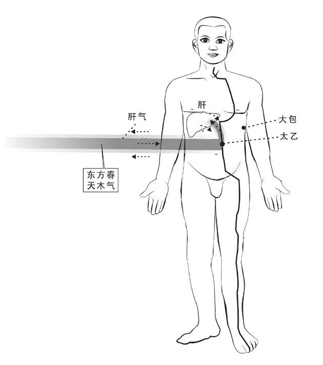 肝与东方木气气交