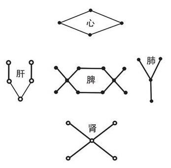 刘牧人体五行结构物质图