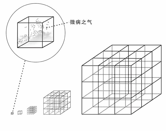 人体微病和人体网络中的标准数单位