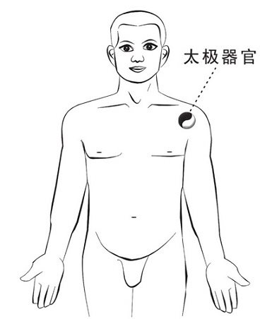 左肩内太极器官