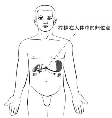 柠檬入胆经和脾经