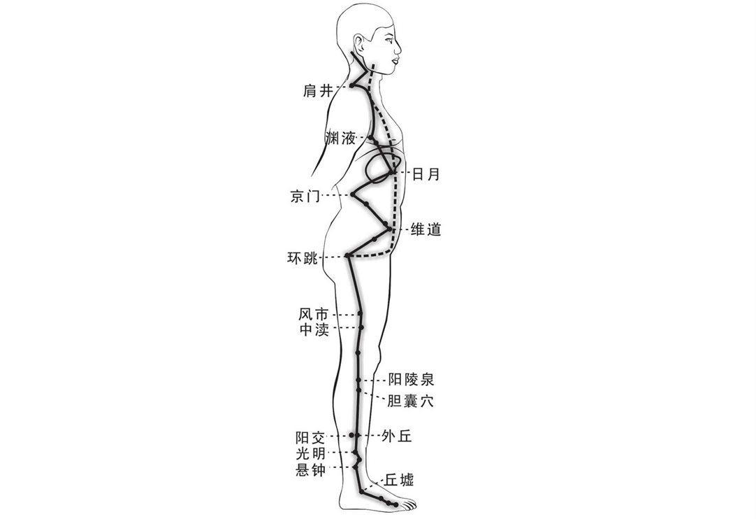 胆经旺相