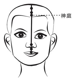 前额经络通达