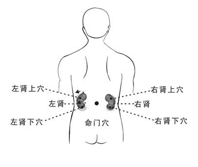 肾藏四穴转动