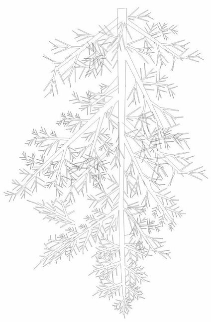 肺癌患者空体中的肺癌结构