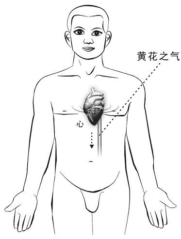 一、中药为王
