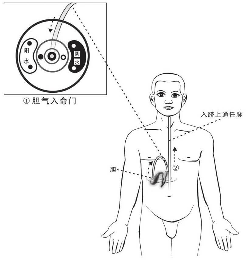 一、中药为王