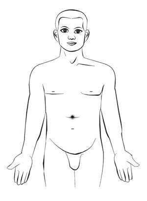 一、中药为王