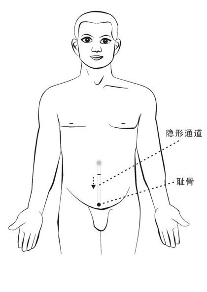 一、中药为王