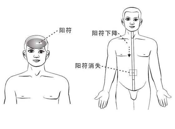 大脑内阳符下降
