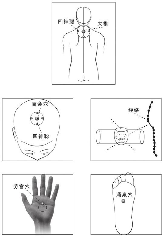 穴位的太极器官