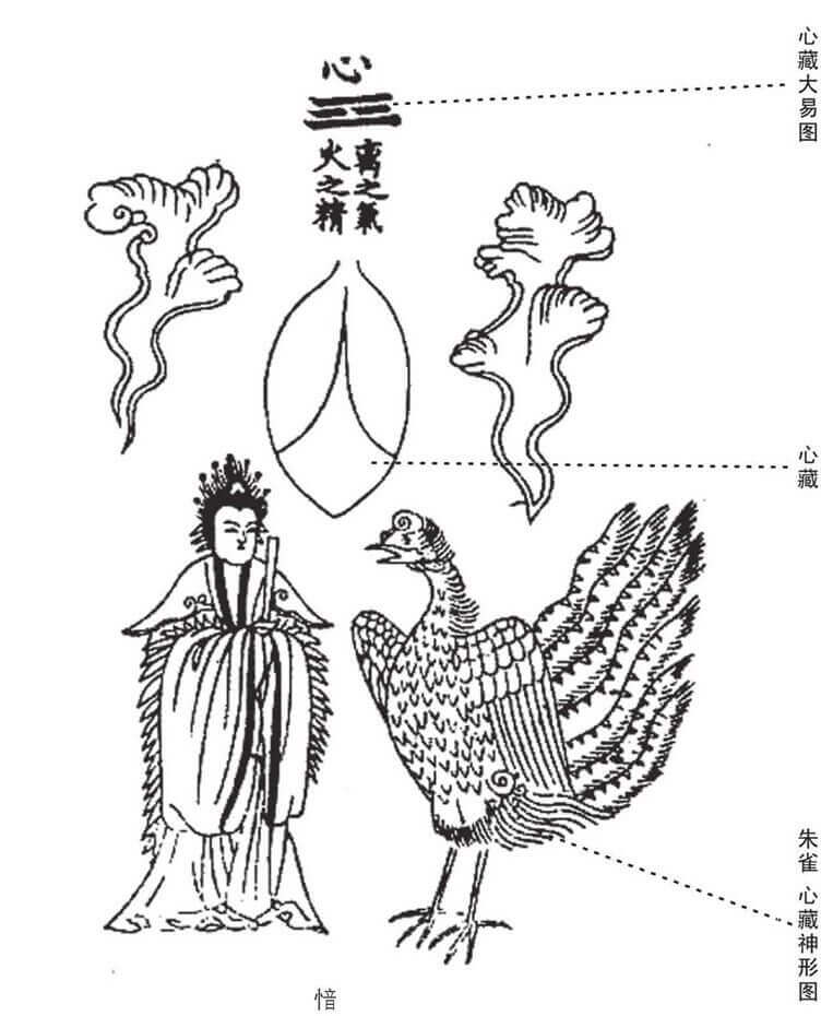 唐代女道医胡的《黄庭内景五藏六腑图》