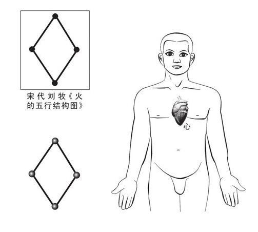 心藏五行结构