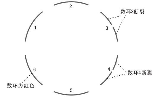 白血病患者数环图