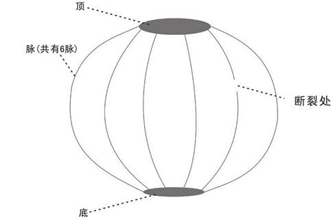 白血病患者心藏真形图
