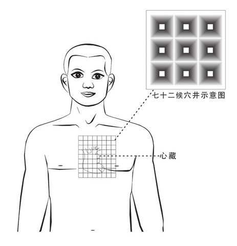 心藏七十二候穴穴井
