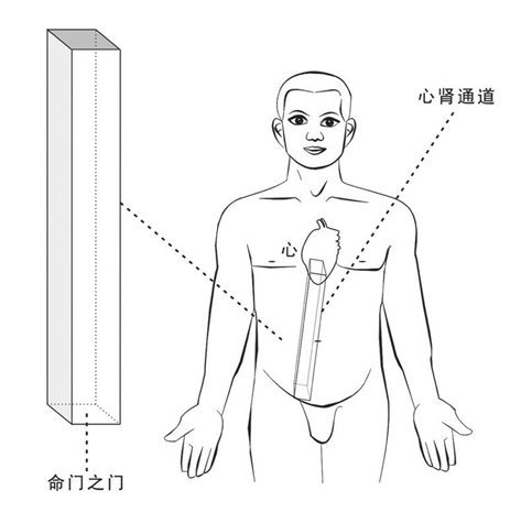 心肾通道