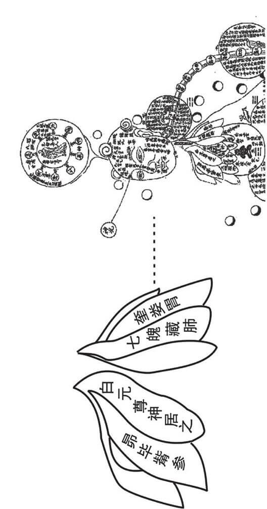 《修真图》中的肺藏