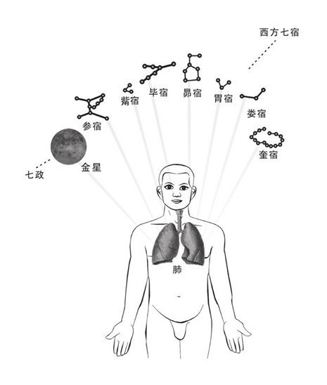 肺与星宿