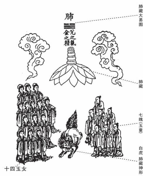 唐代女道医胡愔的《黄庭内景五藏六腑图》