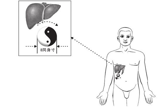 张仲景小柴胡汤在肝下产生的太极器官（二）