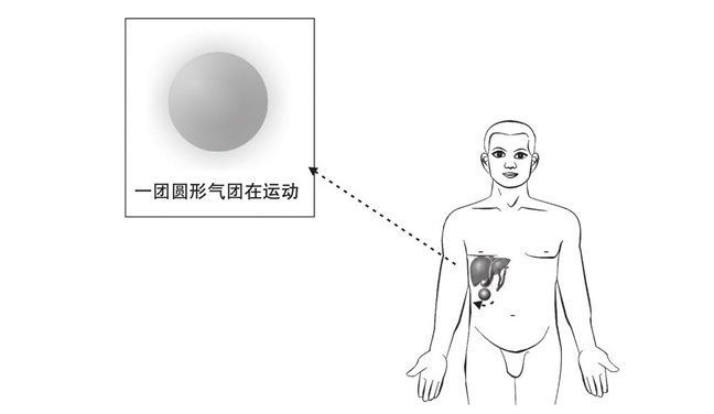张仲景小柴胡汤在肝下产生的太极器官（五）